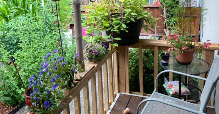 How to Plant a Garden on Your Deck? | EVODEK